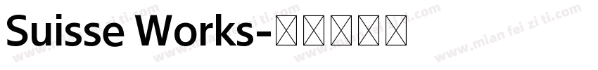 Suisse Works字体转换
